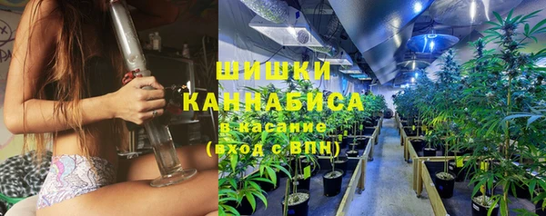 ПСИЛОЦИБИНОВЫЕ ГРИБЫ Баксан