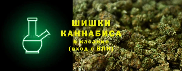 ПСИЛОЦИБИНОВЫЕ ГРИБЫ Баксан