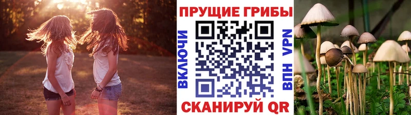 Псилоцибиновые грибы Psilocybe  закладка  Волгоград 