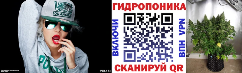 где купить наркоту  KRAKEN ссылки  маркетплейс телеграм  Волгоград  Бошки Шишки White Widow 